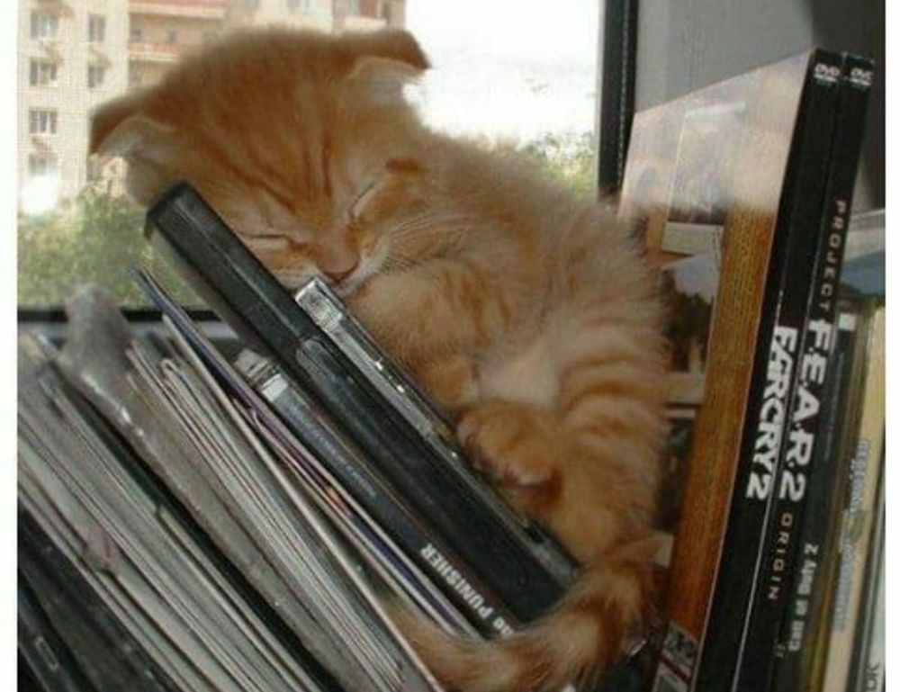 8tshare6a software download