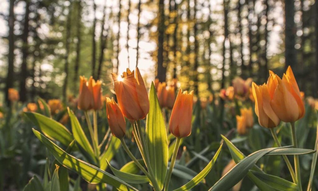 aggr8tech technology updates by aggreg8