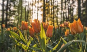 aggr8tech technology updates by aggreg8