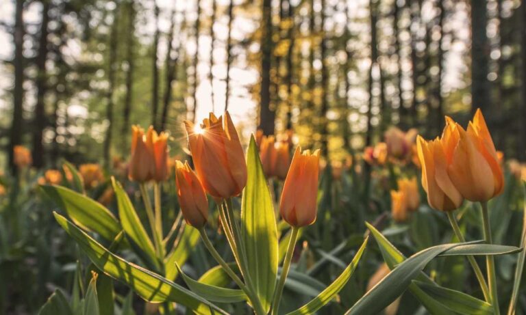 aggr8tech technology updates by aggreg8