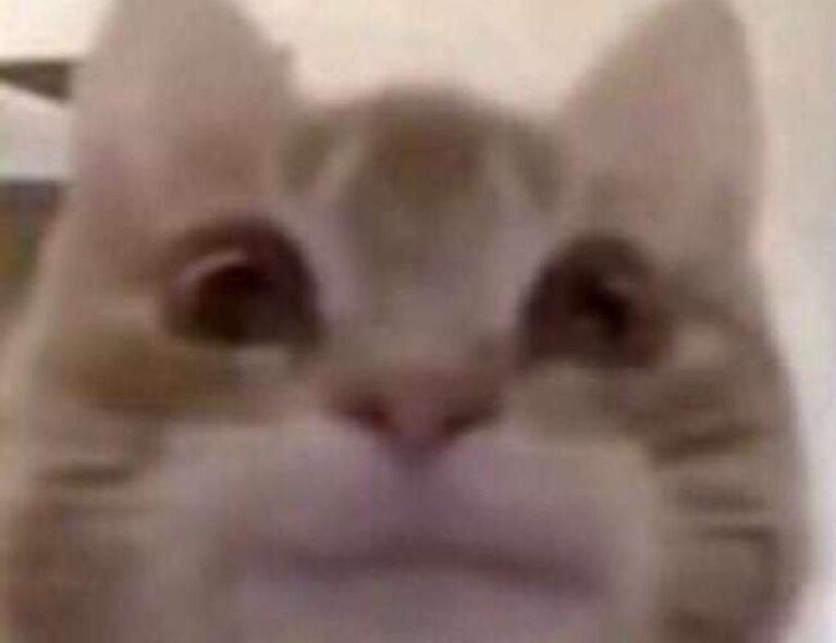 chatbot technology updates aggr8tech