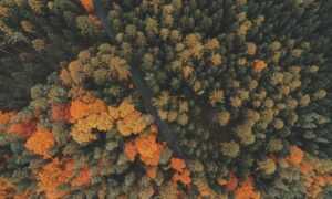 what is 8tshare6a python code