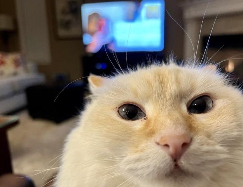 what is 8tshare6a python