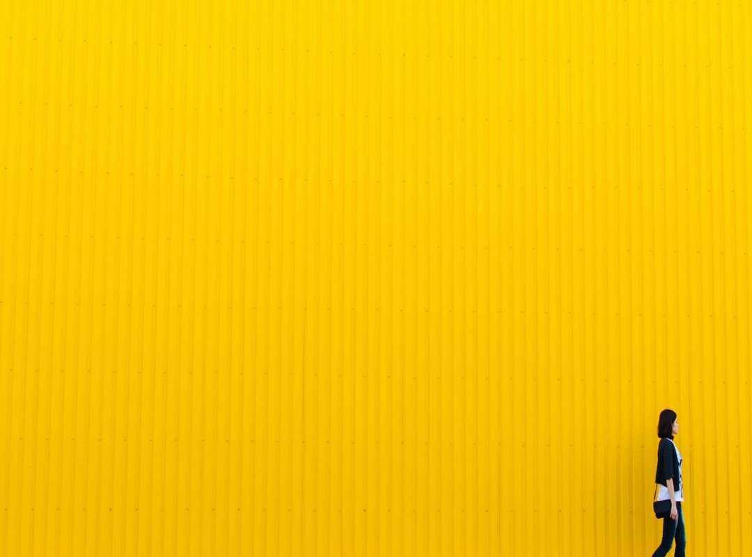 The Real-World Value: What Can You Buy with 2000 UF in Chile?