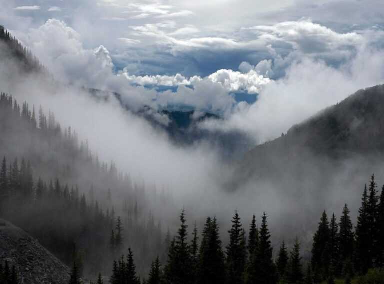 65 year beach full body beach body old woman