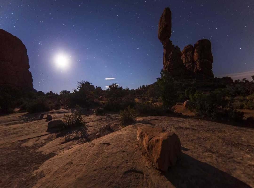 Where to Follow and What to Watch For Next