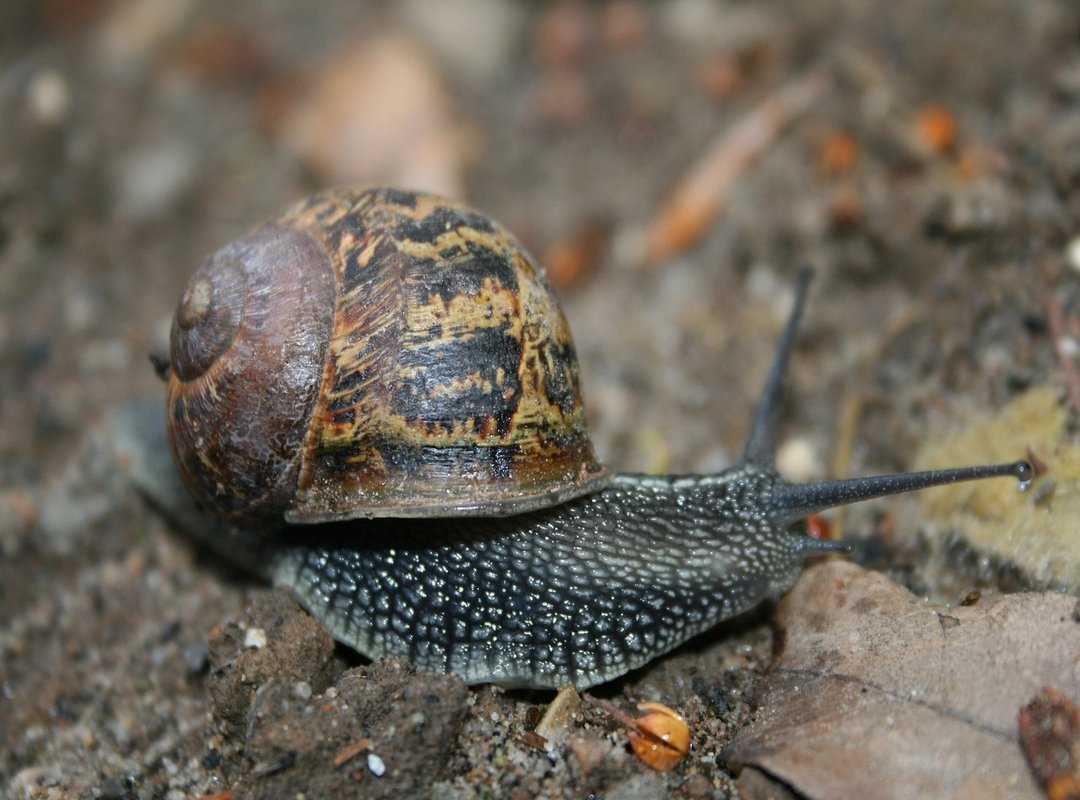 How to Get Started in 3 Simple Steps