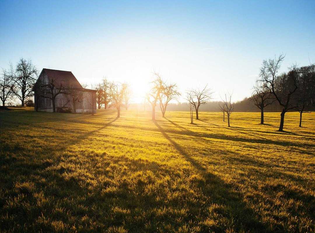 Examples of Chat G0t in Action