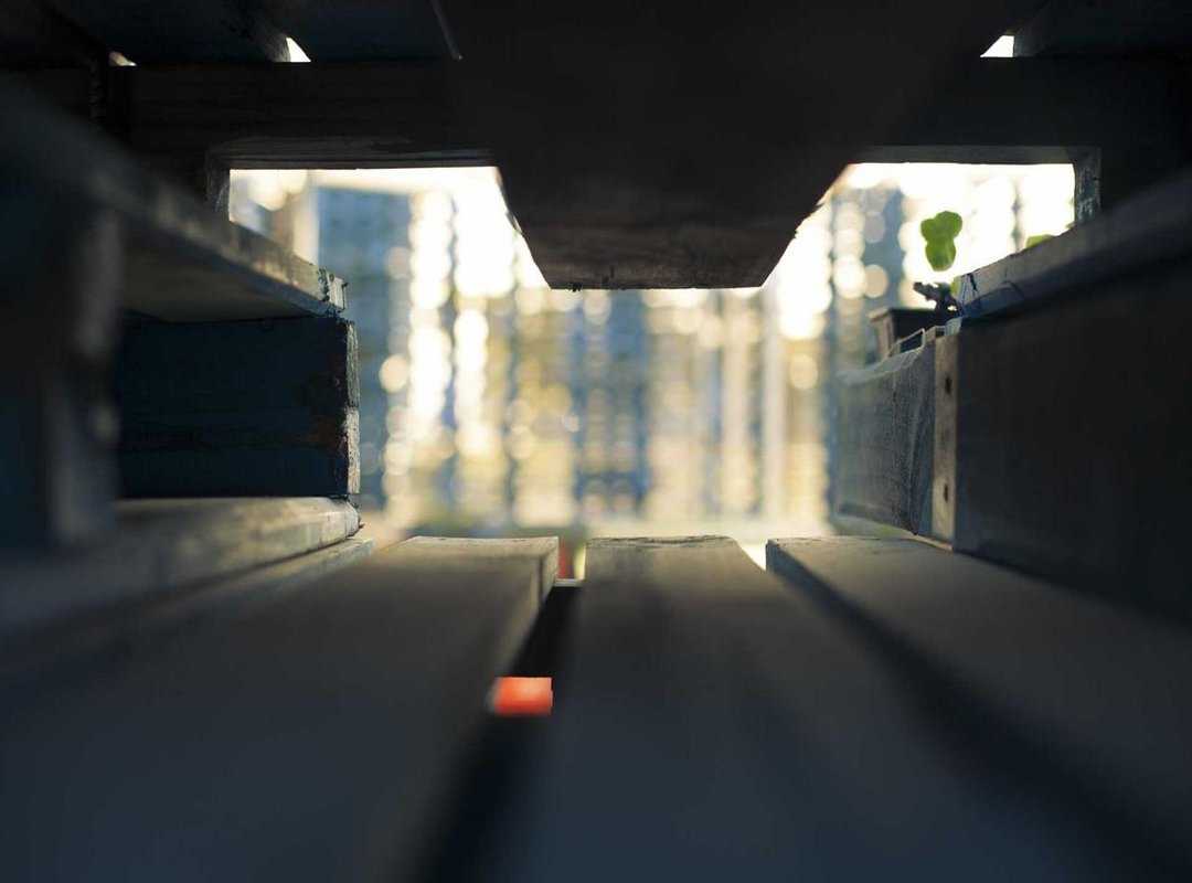 What to Expect: Video Quality, Subtitles, and User Experience