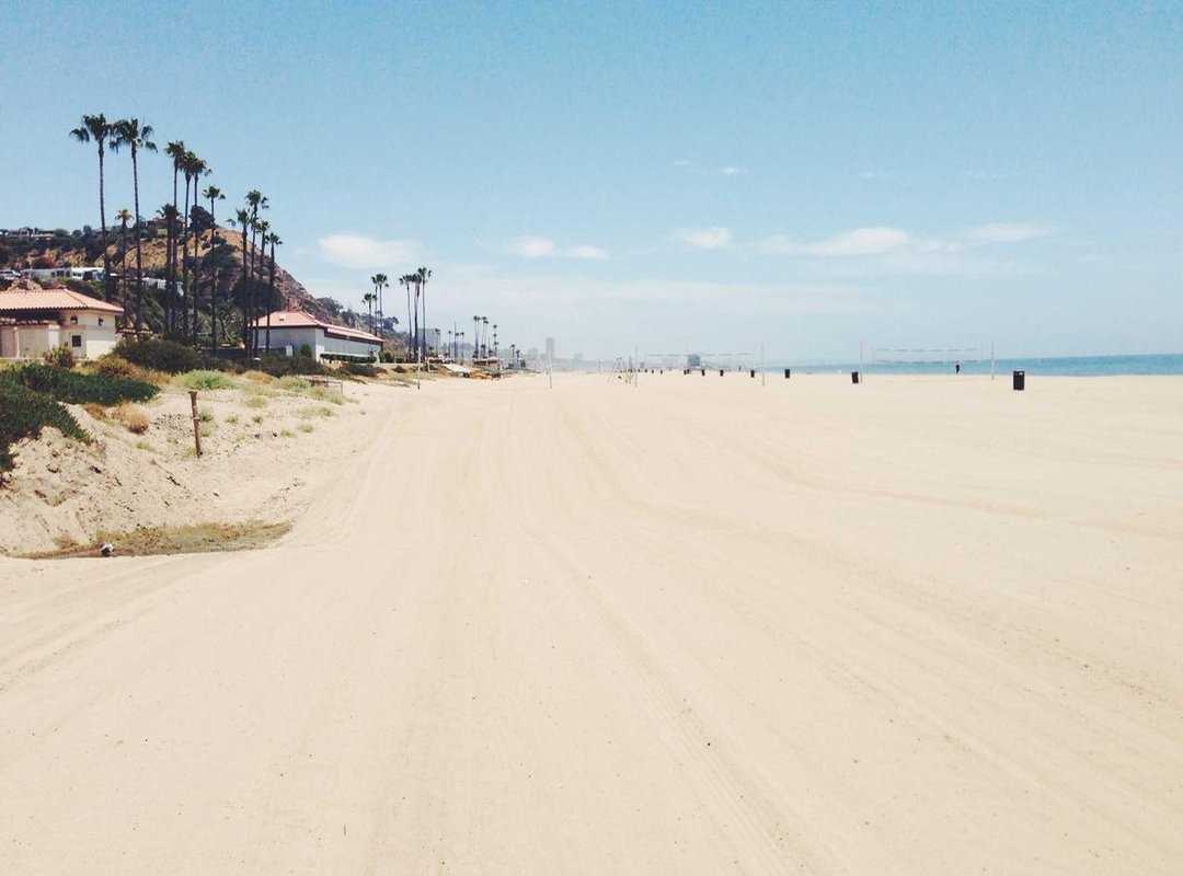 Notable Episodes and Fights