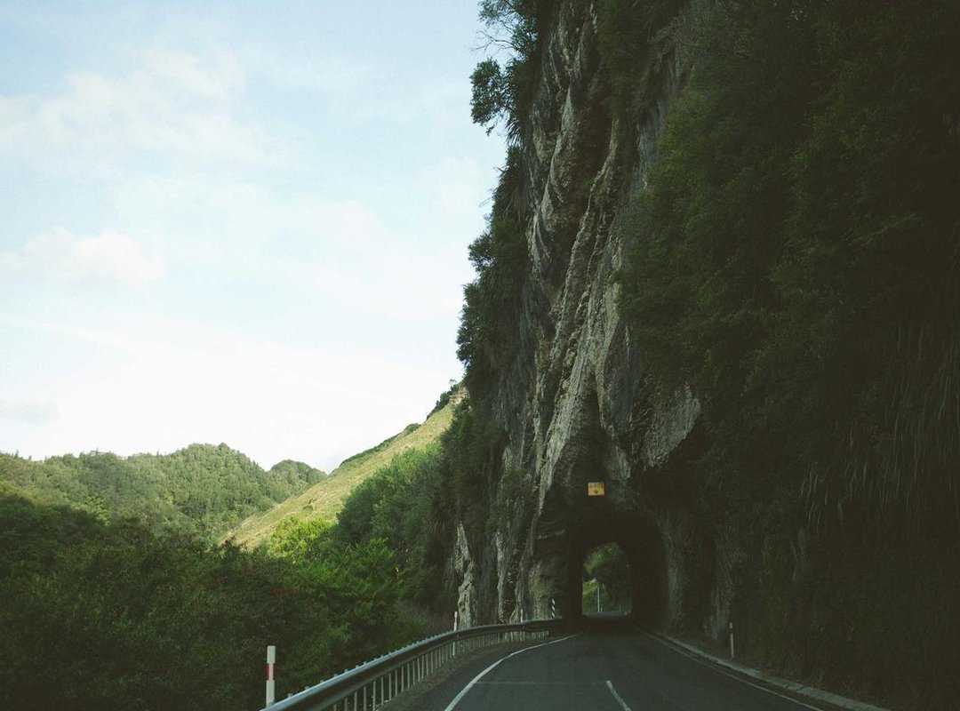 Examples and Success Stories