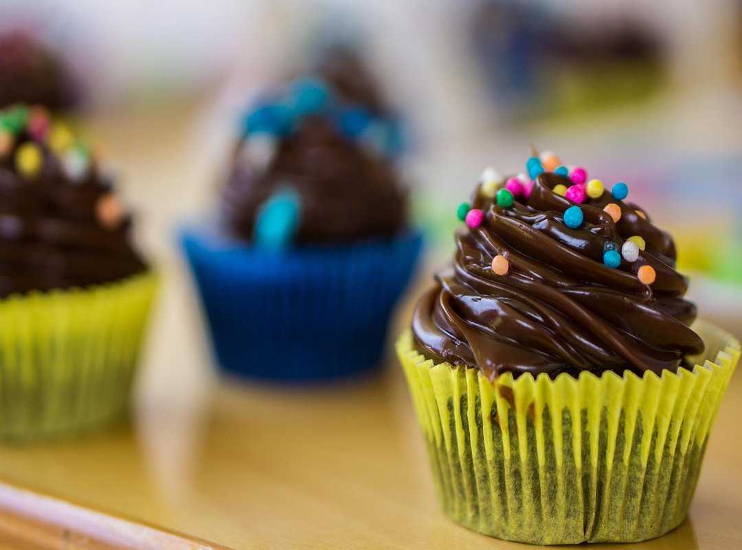 Navigating the Collapse of a Regime