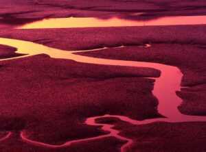 low tide twilight chapter 73