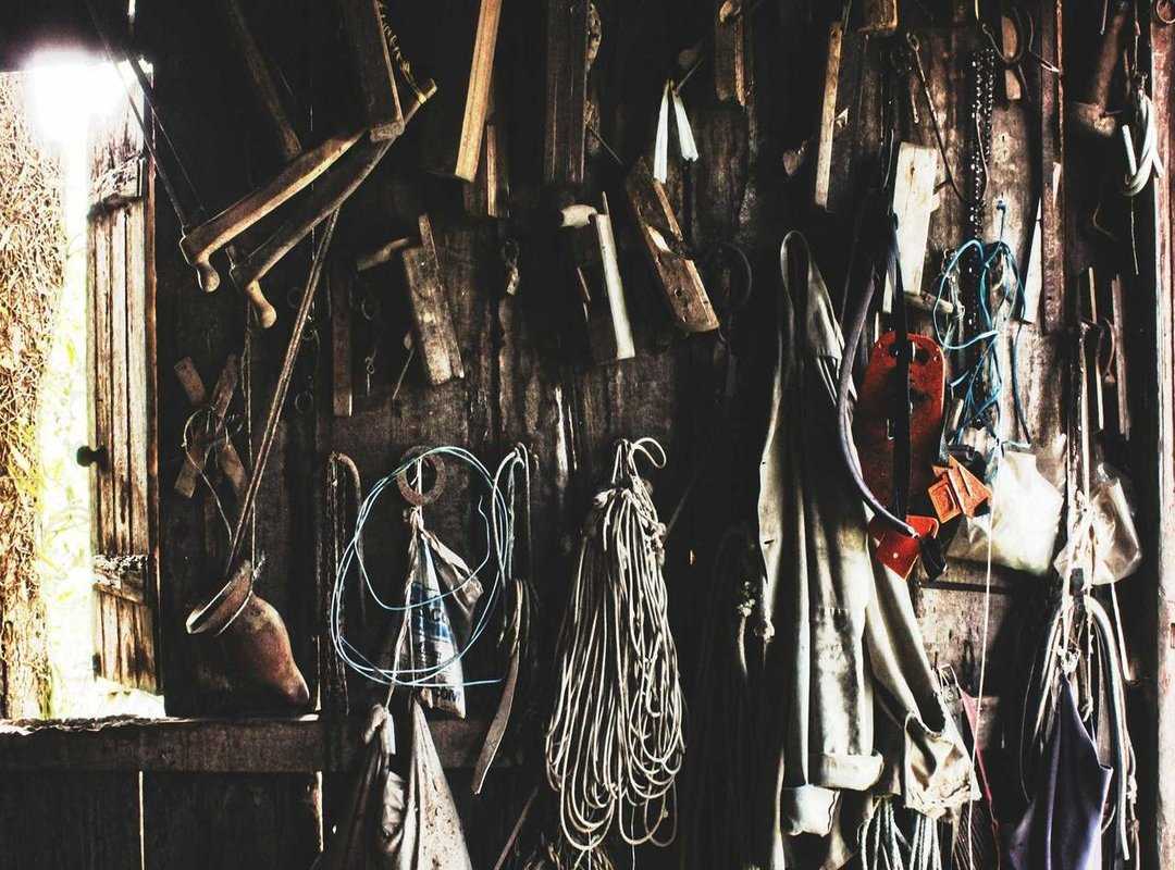 Beyond Memes: Unique Ideas for Funny Thursday Greetings