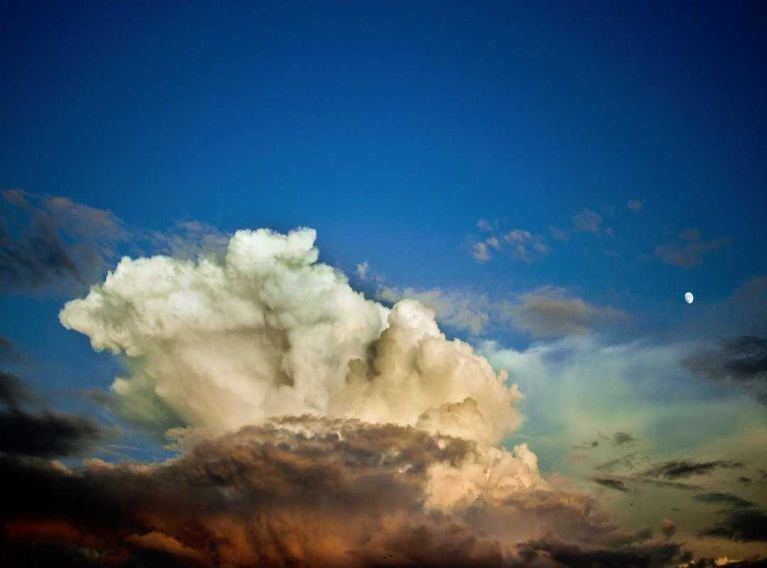 Quick Tips to Make Your Picture WhatsApp-Ready