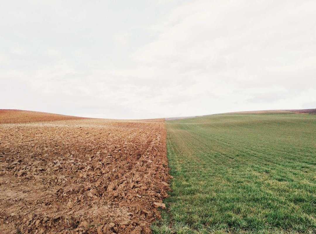 From Generators to Sandwiches: The Meme's Funniest Variations