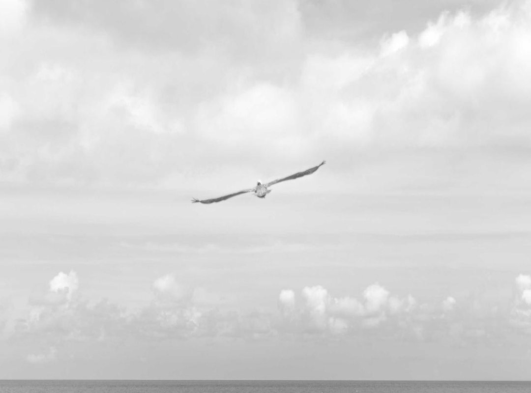 Showcasing Your Creations: Ideas and Inspiration