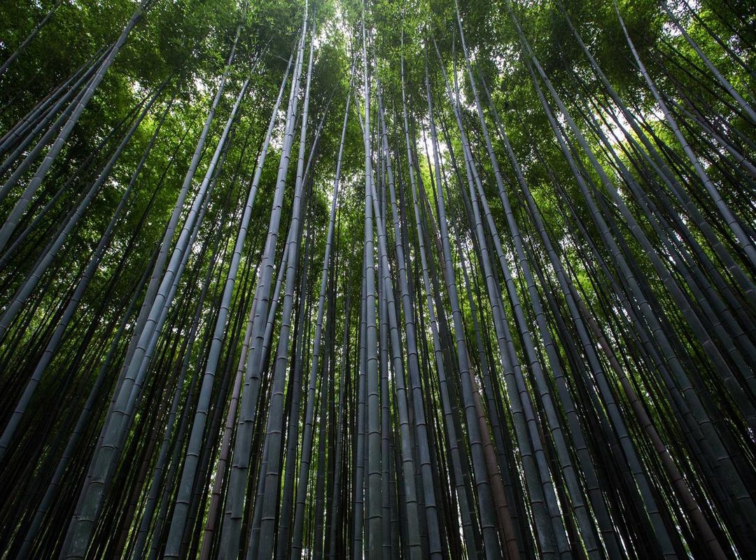 How It Stacks Up: Trade 5.0 Proair vs. The Competition