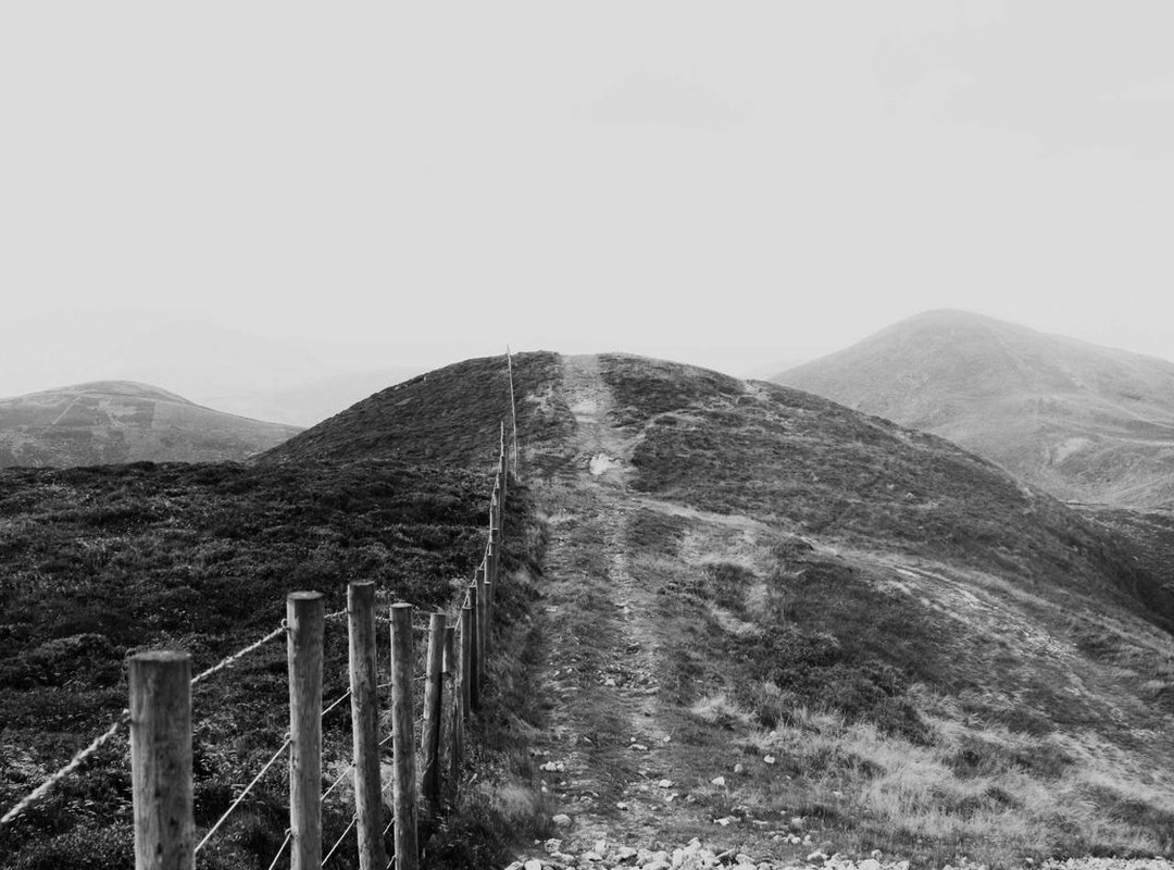 Frequently Asked Questions (FAQs)