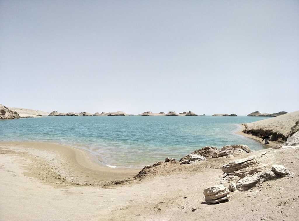 ya muqollibal qulub rumaysho